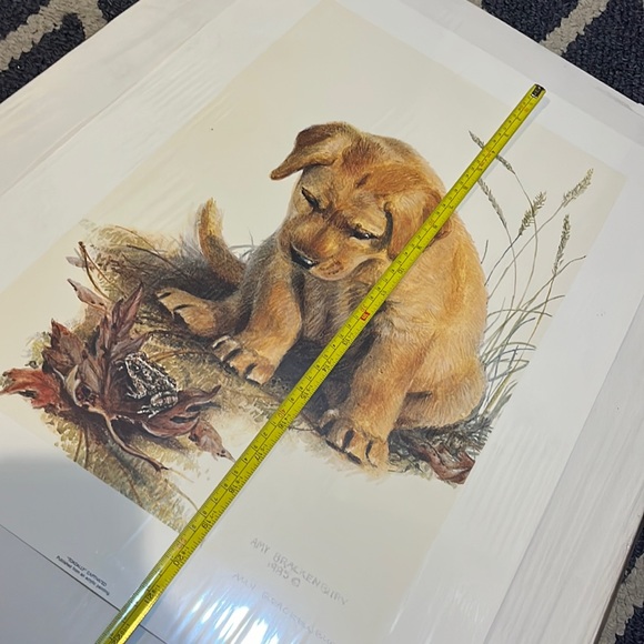 🖼️ 🐶 🖼️• 💎 AMY BRACKENBURY x 🐸 “Toadally” Vibes - Picture 2 of 16